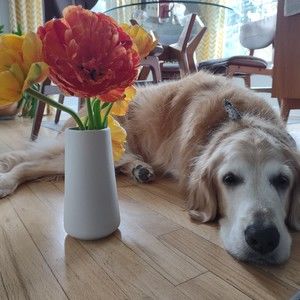 Meet your Posher, Rebecca